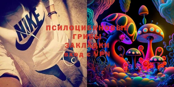 PSILOCYBIN Абаза