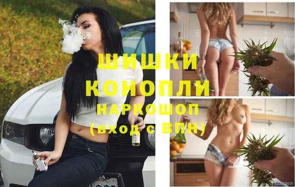 PSILOCYBIN Абаза