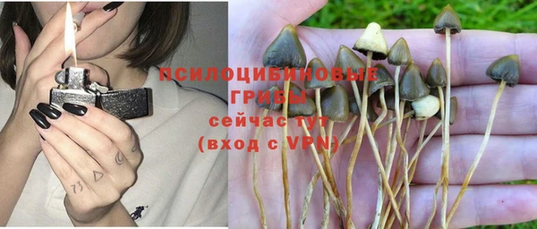 героин Алзамай