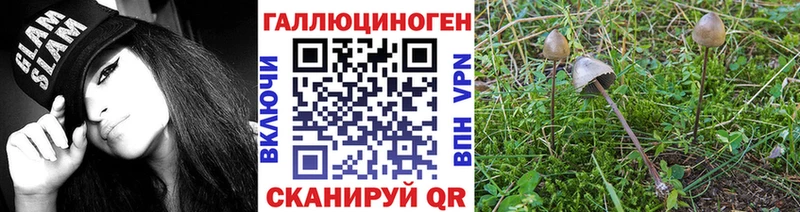 Галлюциногенные грибы мицелий  Нефтеюганск 