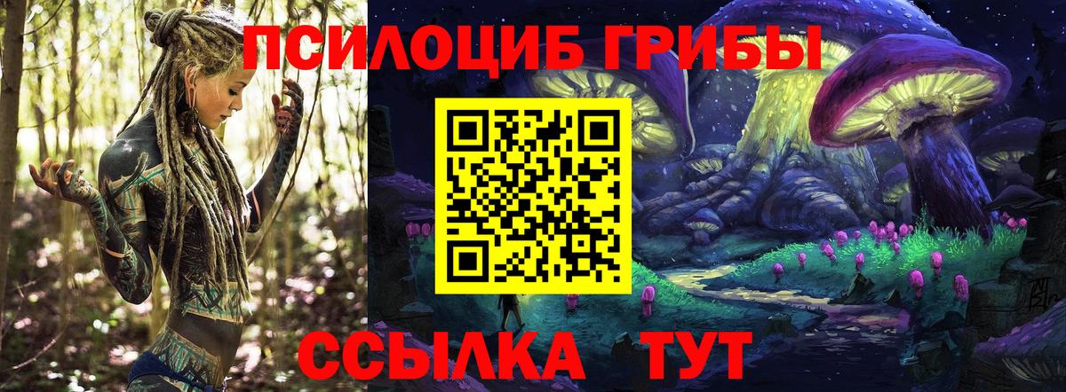 Галлюциногенные грибы Psilocybine cubensis  Вход с VPN  Нефтеюганск  Галлюциногенные грибы Psilocybe 